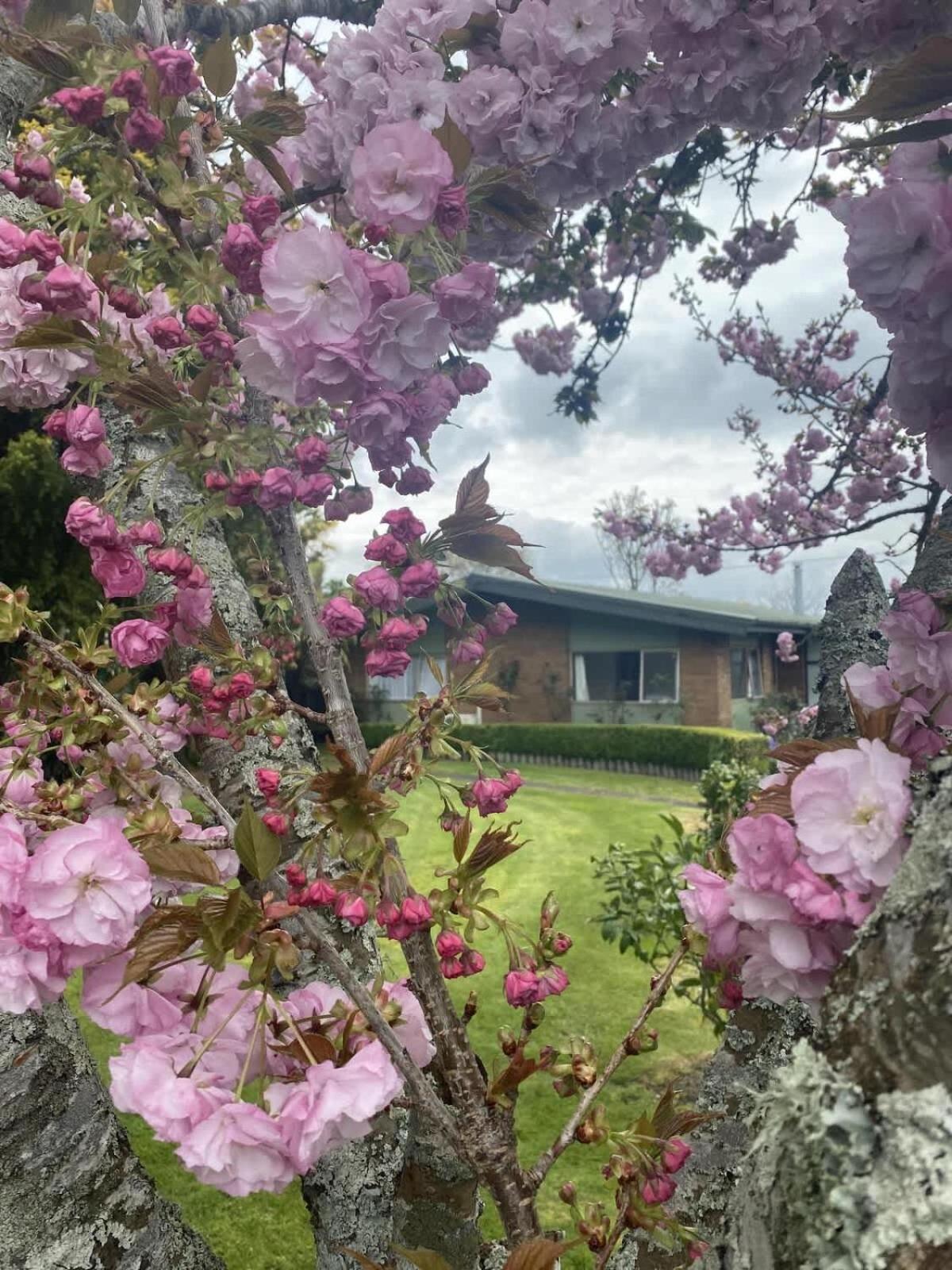 Roselake Retreat Rotorua Eksteriør billede